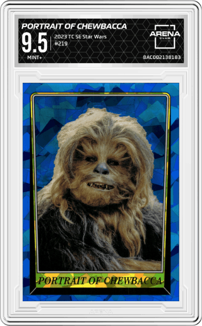 Portrait of Chewbacca