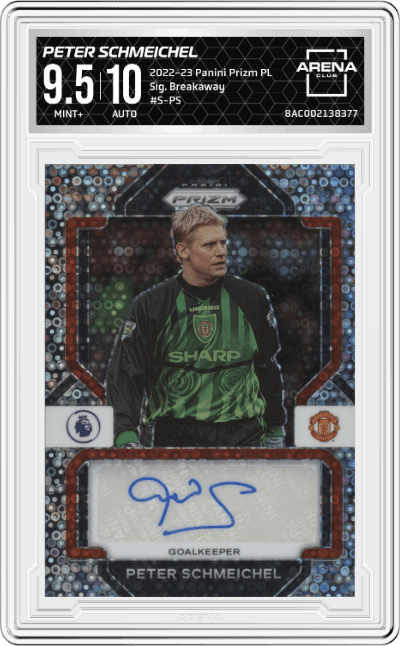 Peter Schmeichel