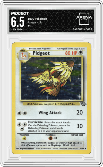 Pidgeot