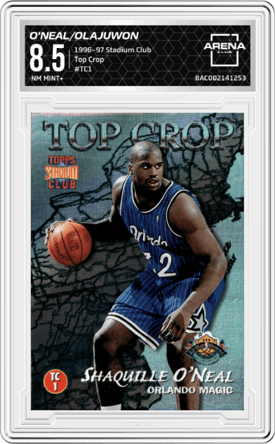 Shaquille O'Neal/Hakeem Olajuwon