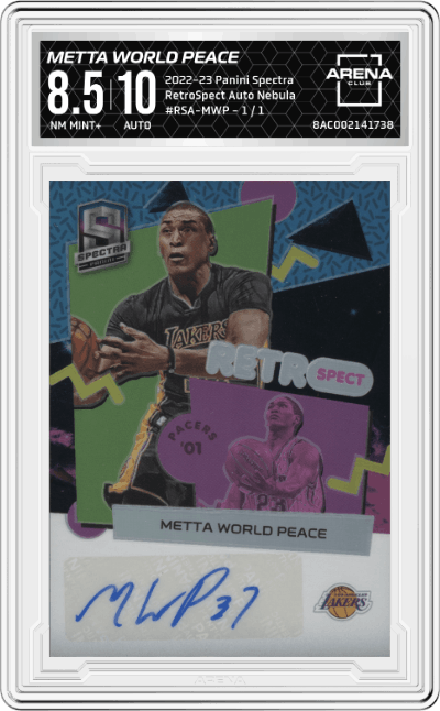 Metta World Peace