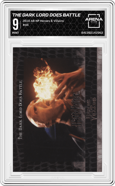 The Dark Lord Does Battle