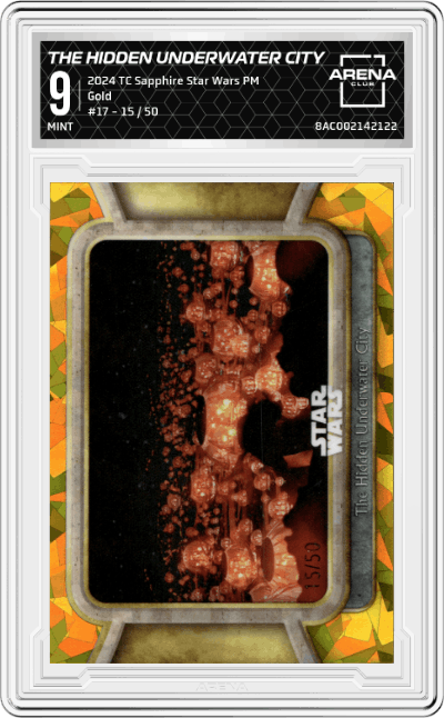 The Hidden Underwater City