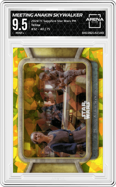  Meeting Anakin Skywalker