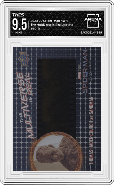 Thomas Haden Church as Sandman