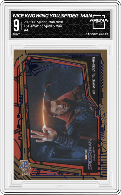 Nice Knowing You, Spider-Man