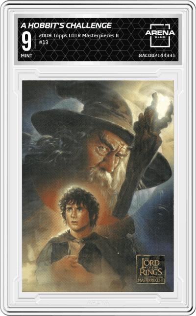 A Hobbit's Challenge