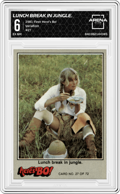 Lunch break in jungle.