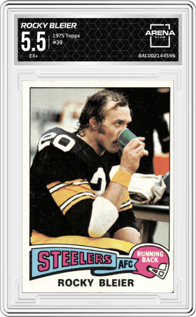 Rocky Bleier