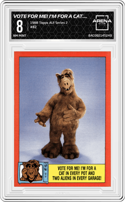 Vote for me! I'm for a cat in every pot and two aliens in every garage!