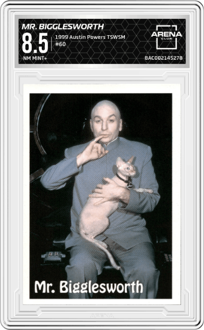 Austin's Diary Mr. Bigglesworth