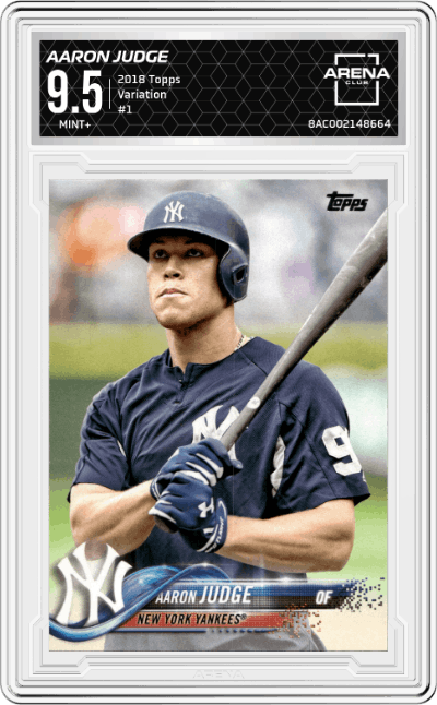 Aaron Judge