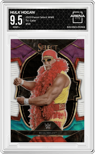 Hulk Hogan
