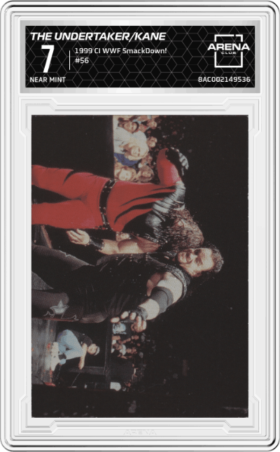 The Undertaker / Kane