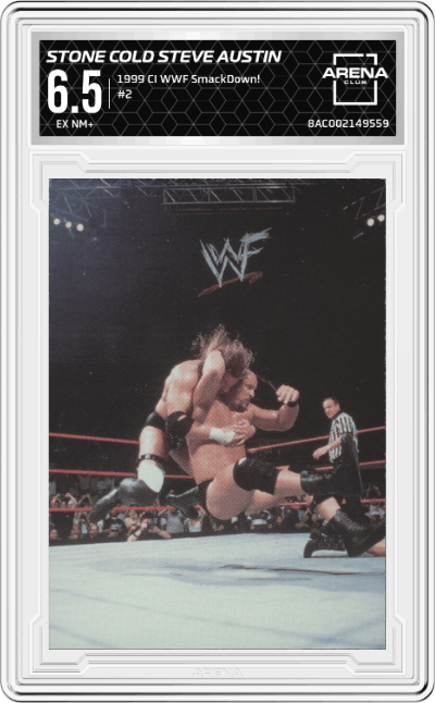 Stone Cold Steve Austin