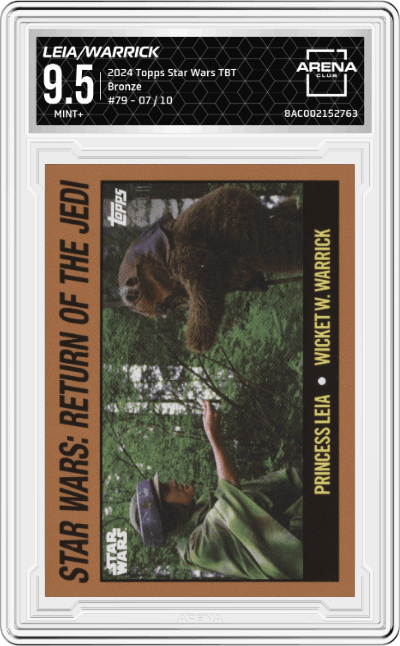 Princess Leia/Wicket W. Warrick