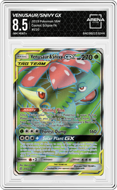 Venusaur & Snivy GX