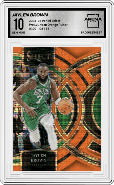 Jaylen Brown