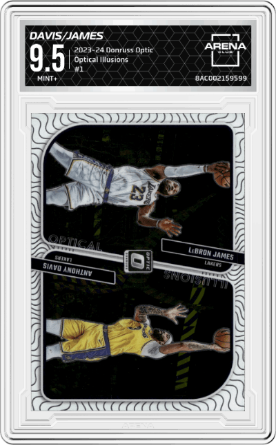 LeBron James/Anthony Davis