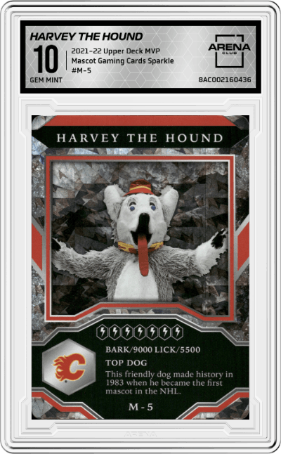 Harvey The Hound