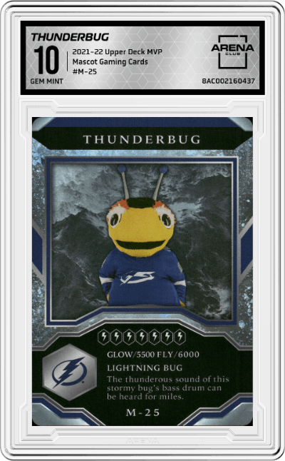 Thunderbug