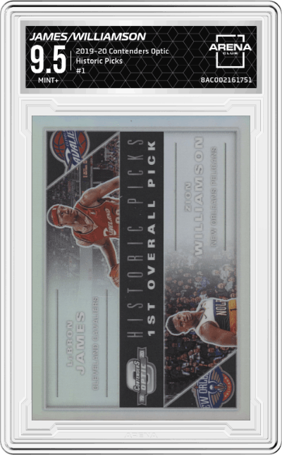 LeBron James/Zion Williamson