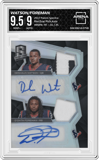 Deshaun Watson/D'Onta Foreman
