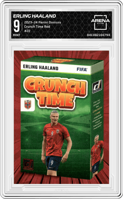 Erling Haaland