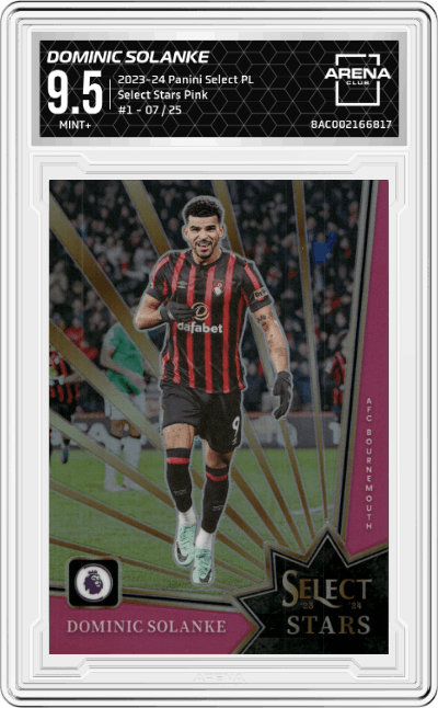 Dominic Solanke