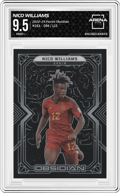 Nico Williams