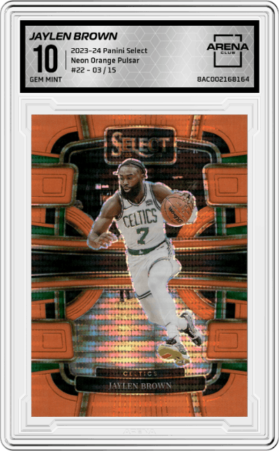 Jaylen Brown