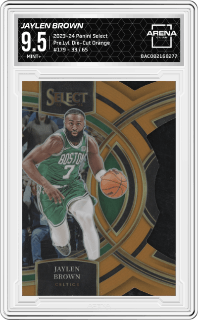 Jaylen Brown