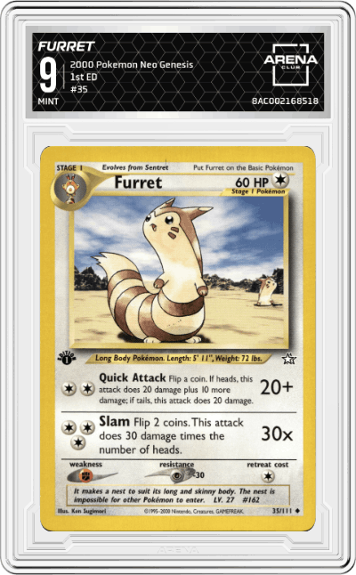 Furret