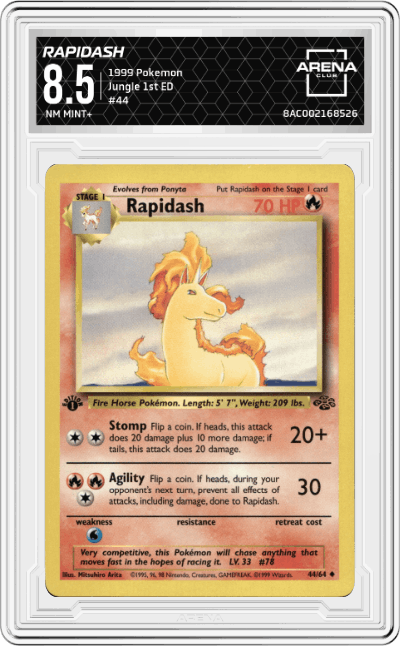 Rapidash