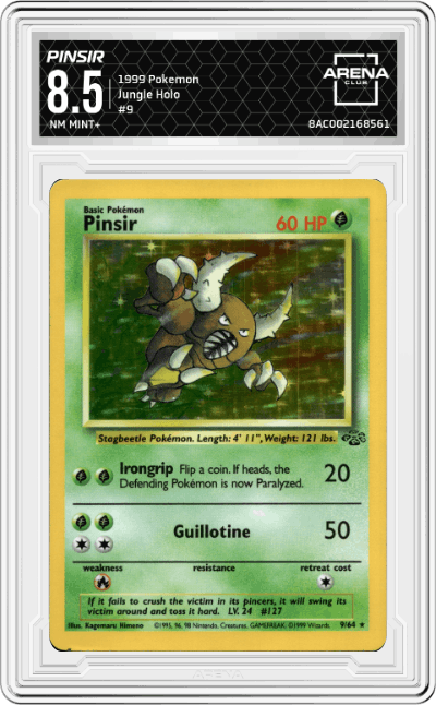 Pinsir