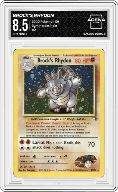 Brock's Rhydon