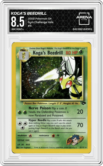 Koga's Beedrill