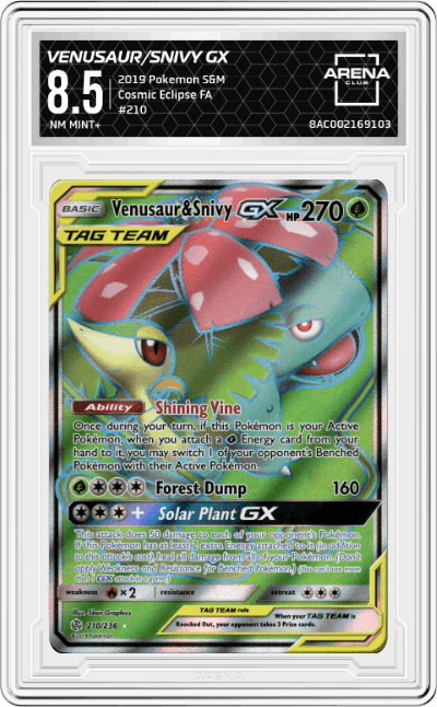 Venusaur & Snivy GX