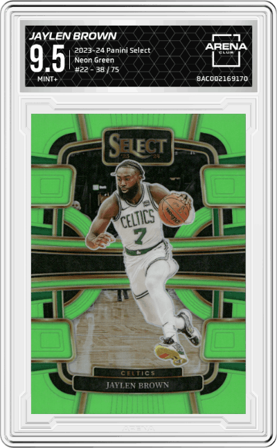 Jaylen Brown