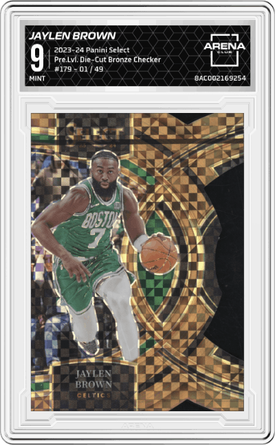 Jaylen Brown