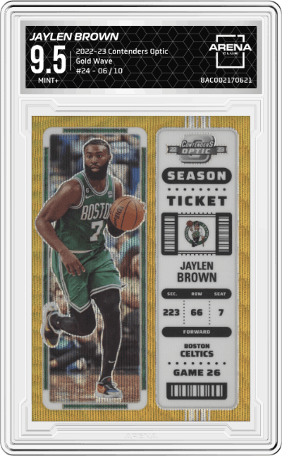 Jaylen Brown