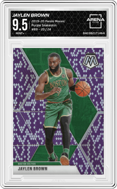 Jaylen Brown