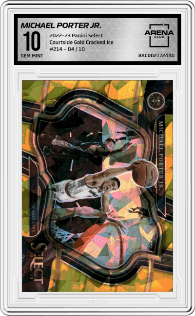 Michael Porter Jr. 
