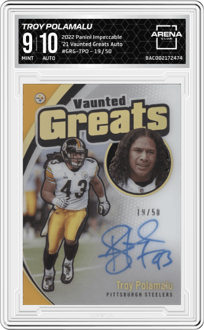 Troy Polamalu