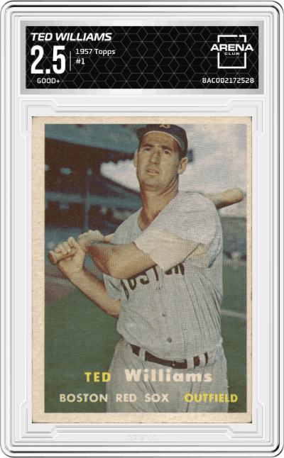 Ted Williams