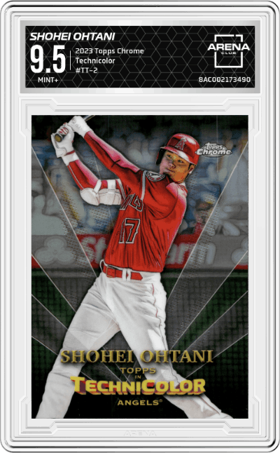 Shohei Ohtani