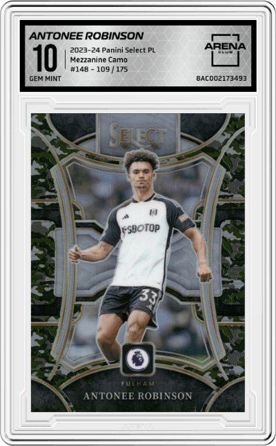 Antonee Robinson