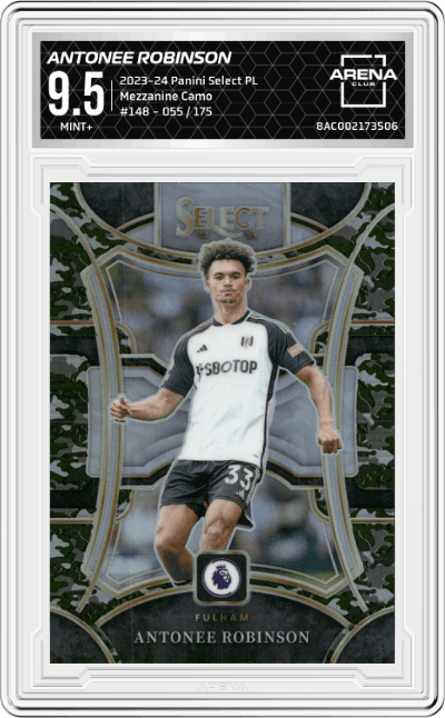 Antonee Robinson