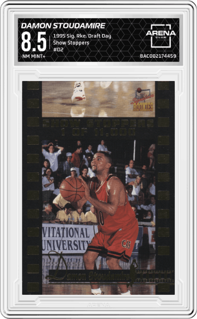 Damon Stoudamire