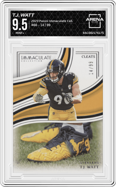 T.J. Watt